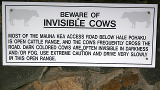 Illustration for article titled The ten weirdest road signs